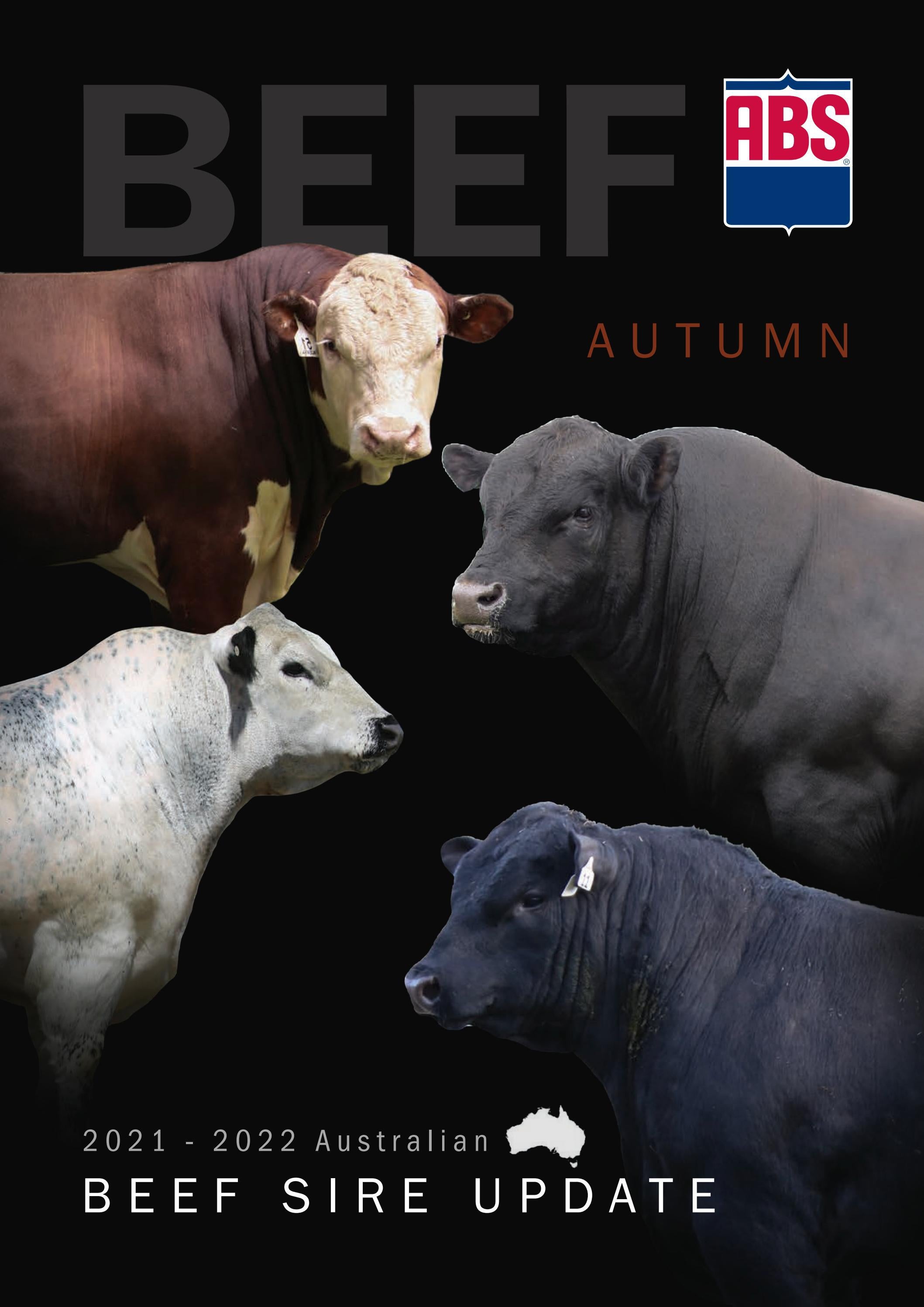 Abs Cattle