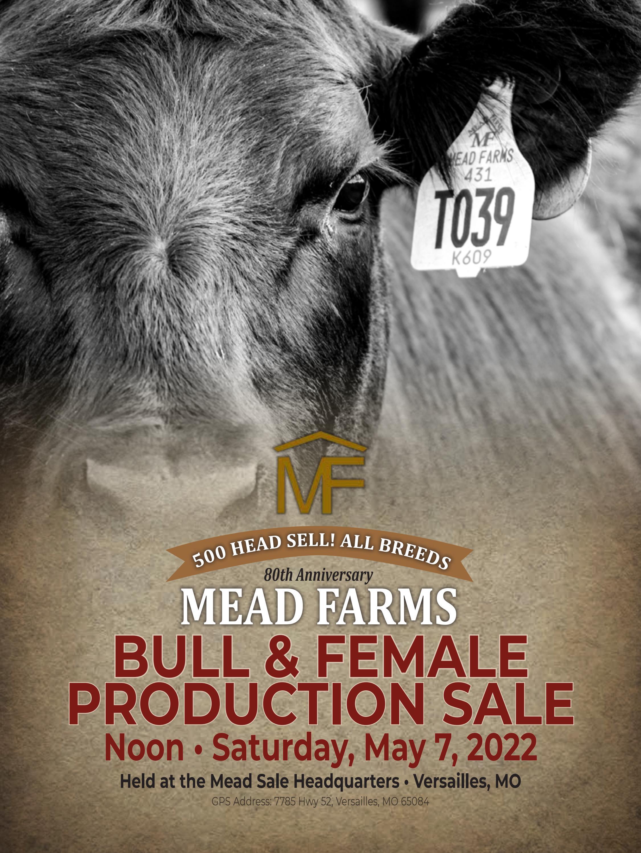 Mead Farms Bull & Female Production Sale by American Hereford