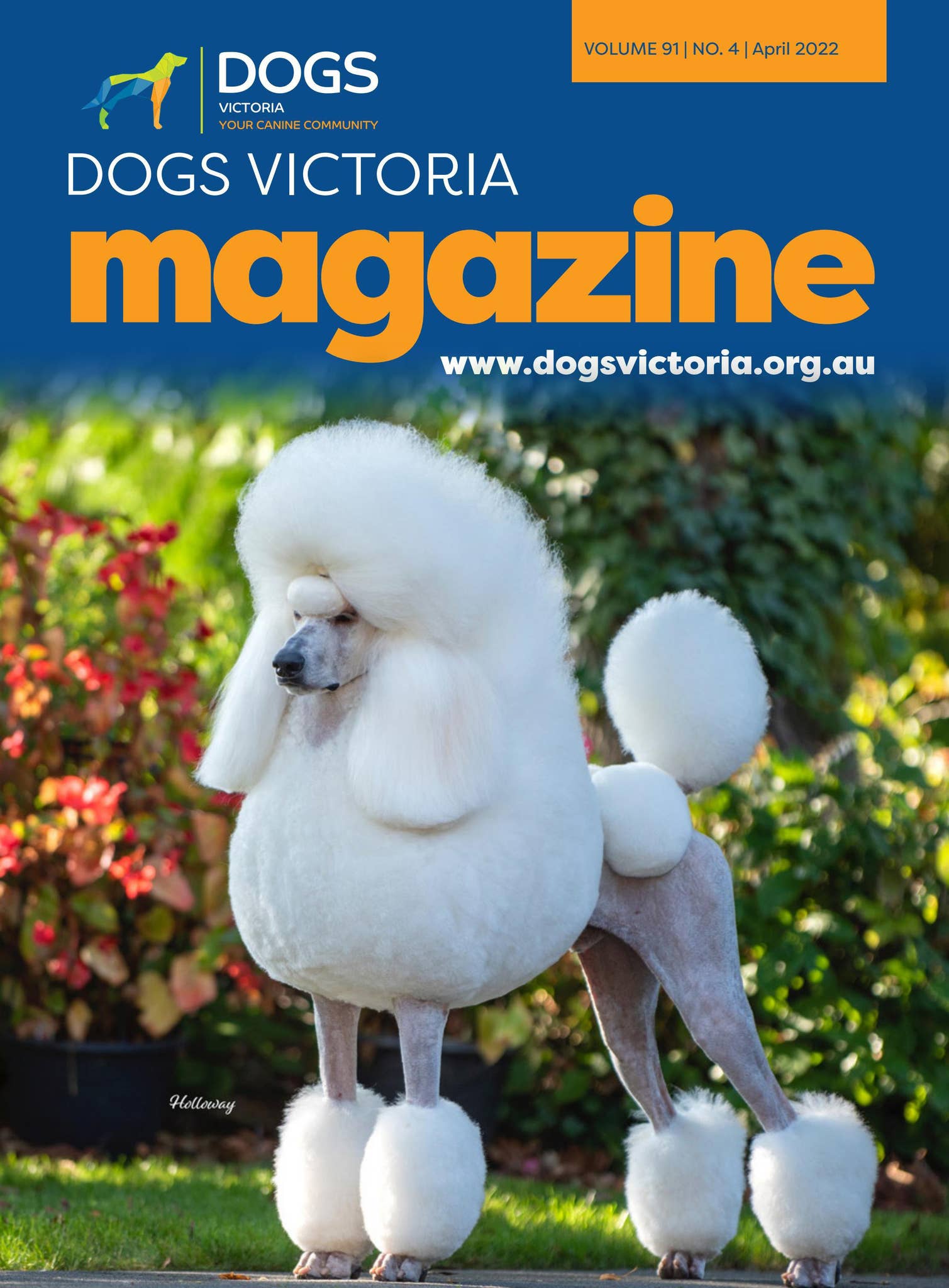 Dogs Victoria Representative Forms.pdf Dogs Victoria Magazine - April 2022 by Dogs Victoria - Issuu