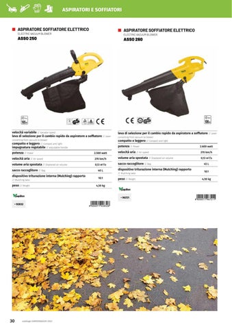 Giardinaggio Butterfly 2022 "Giar Fer Casa" 第 22 页