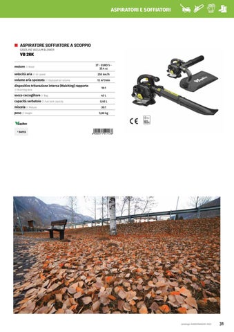 Giardinaggio Butterfly 2022 "Giar Fer Casa" 第 23 页
