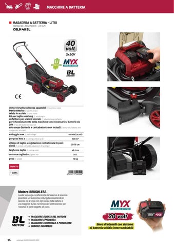 Giardinaggio Butterfly 2022 "Giar Fer Casa" 第 6 页