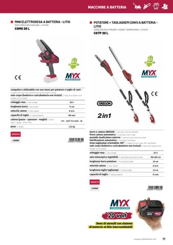 Giardinaggio Butterfly 2022 "Giar Fer Casa" 第 9 页