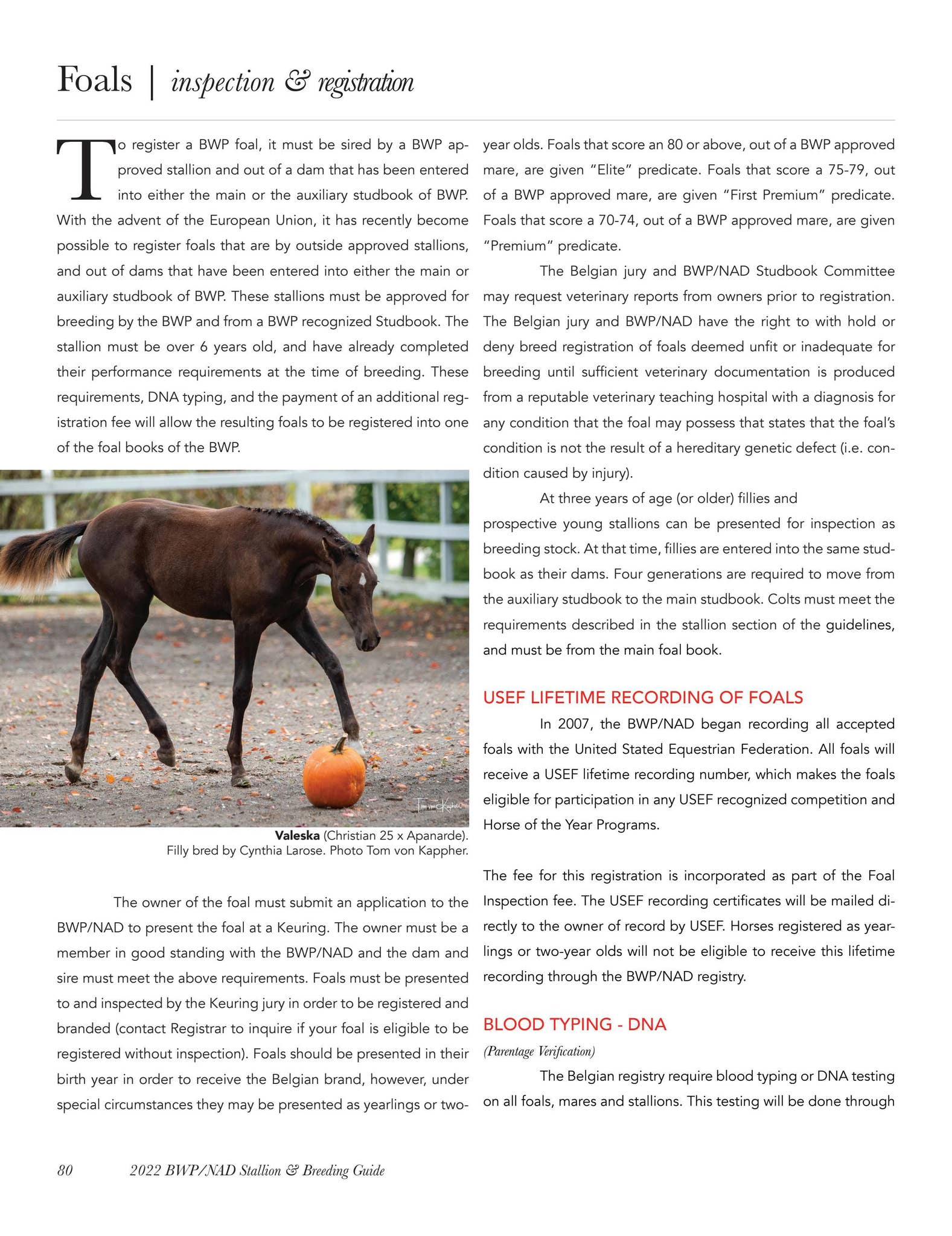 Issuu