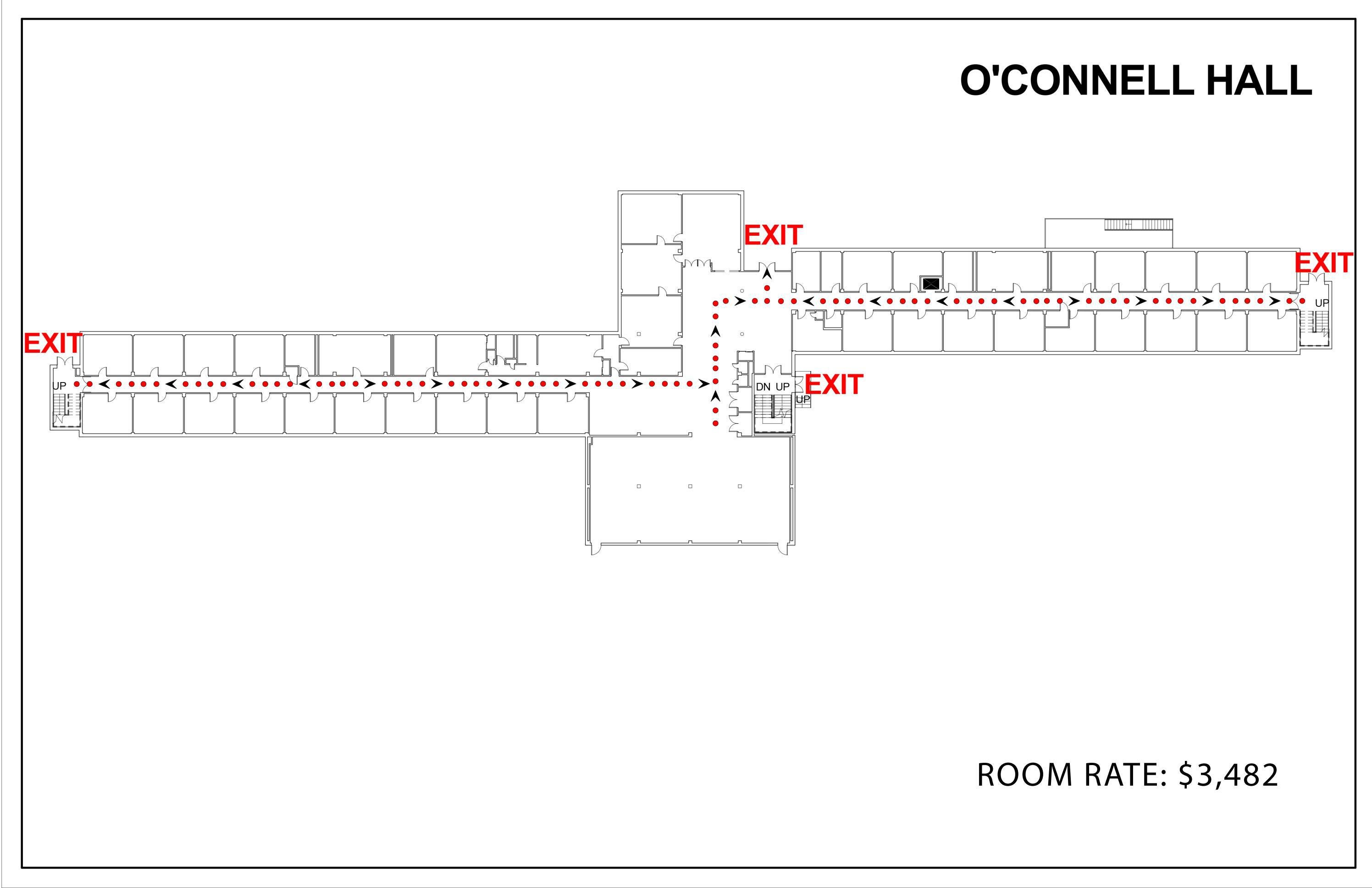 O'Connell Hall Floor Plan by Tarrin Issuu