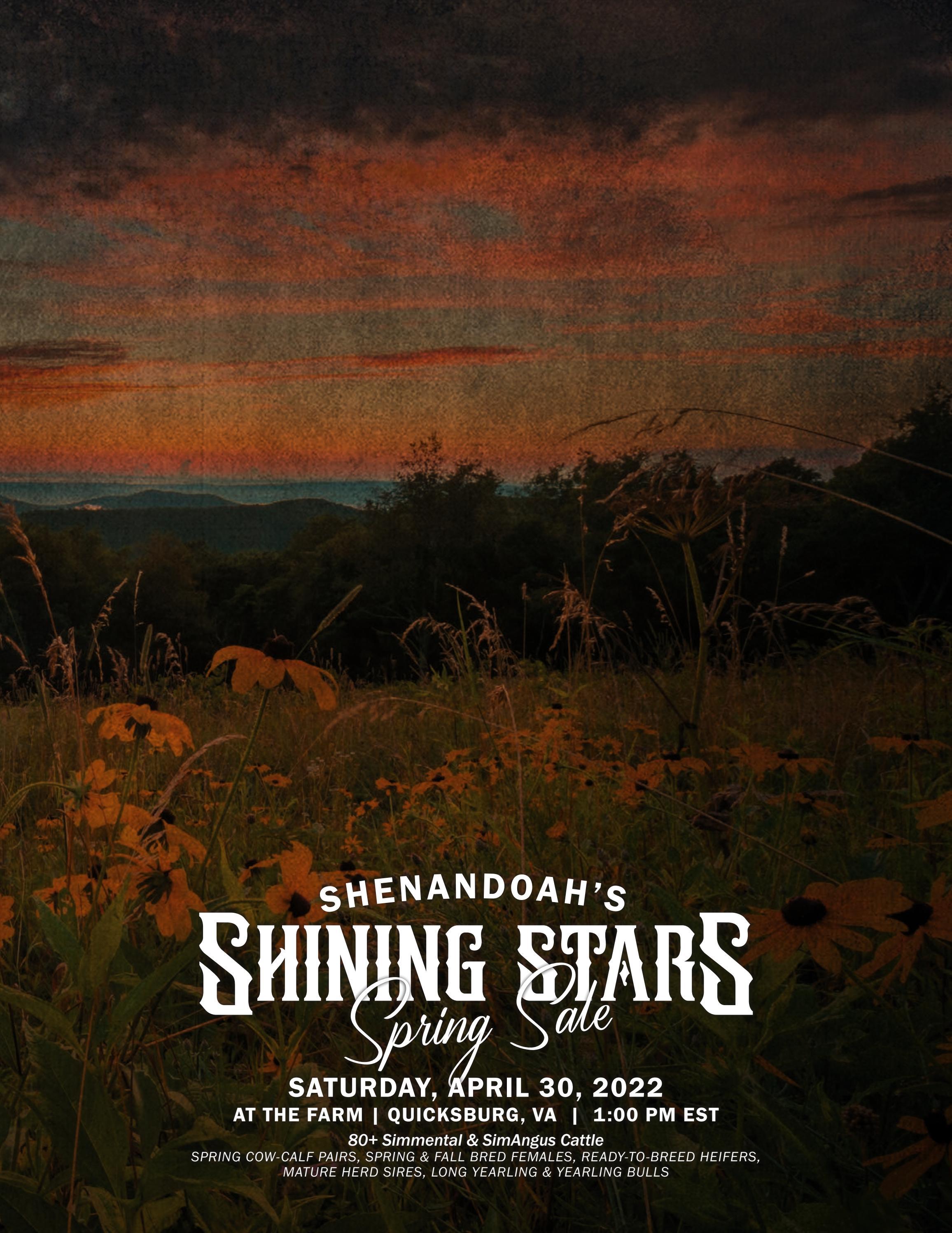 Shenandoah Valley Simmentals 2022 Spring Sale Catalog 4.30.22 by