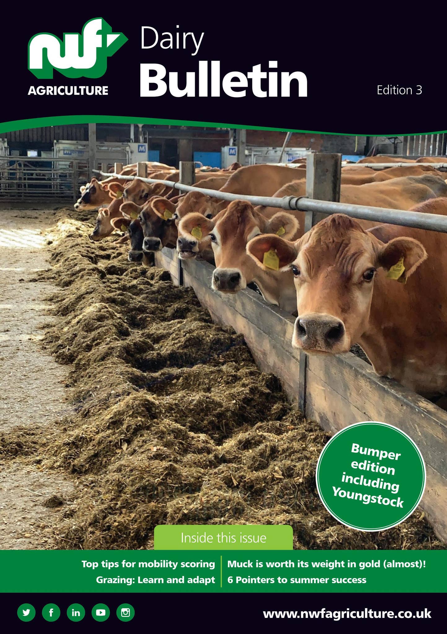 NWF Agriculture Dairy Bulletin Edition 3 by NWFAgriculture - Issuu