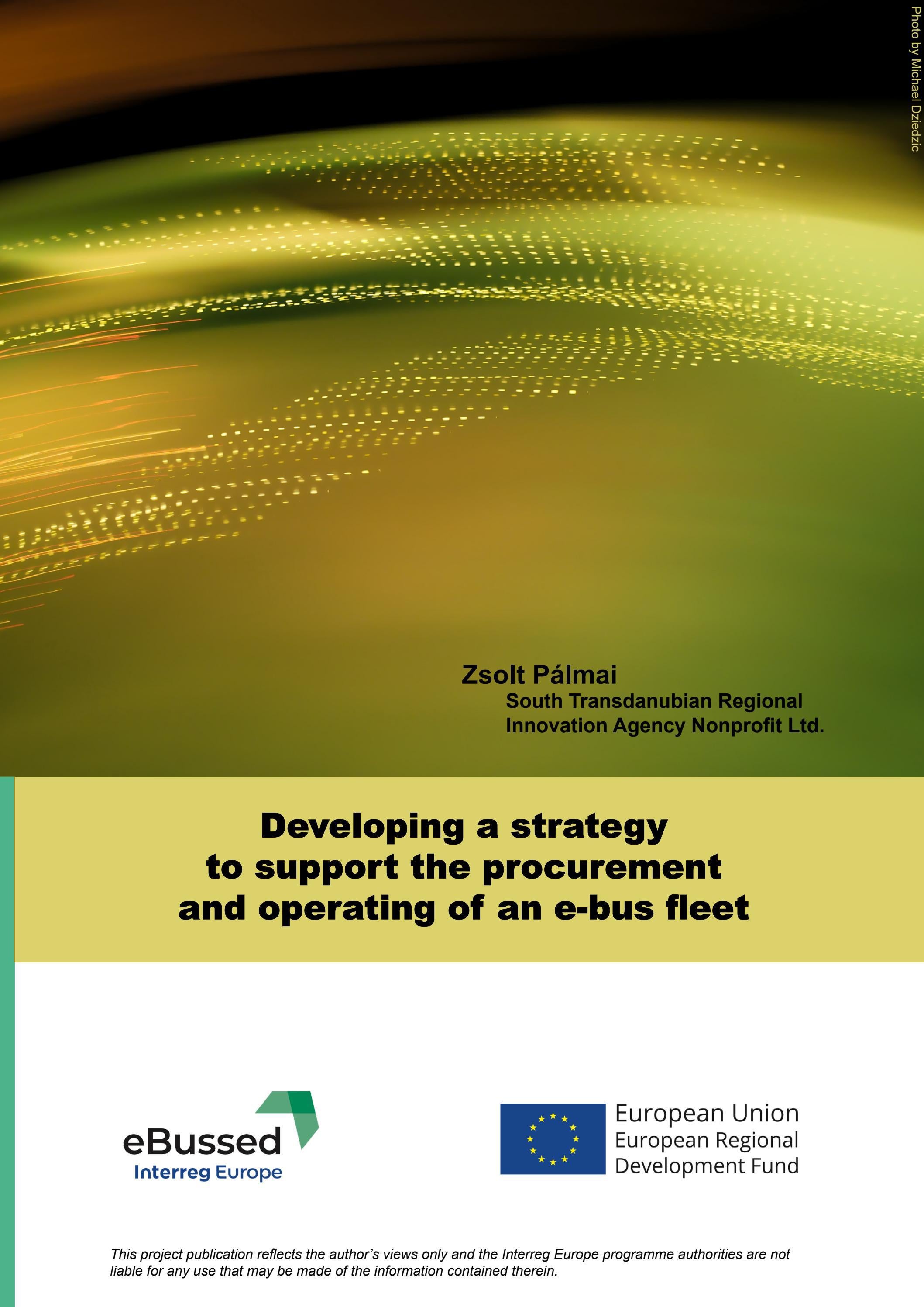 EBussed Article 18 Developing A Strategy To Support The Procurement ebussed-article-18-developing-a-strategy-to-support-the-procurement