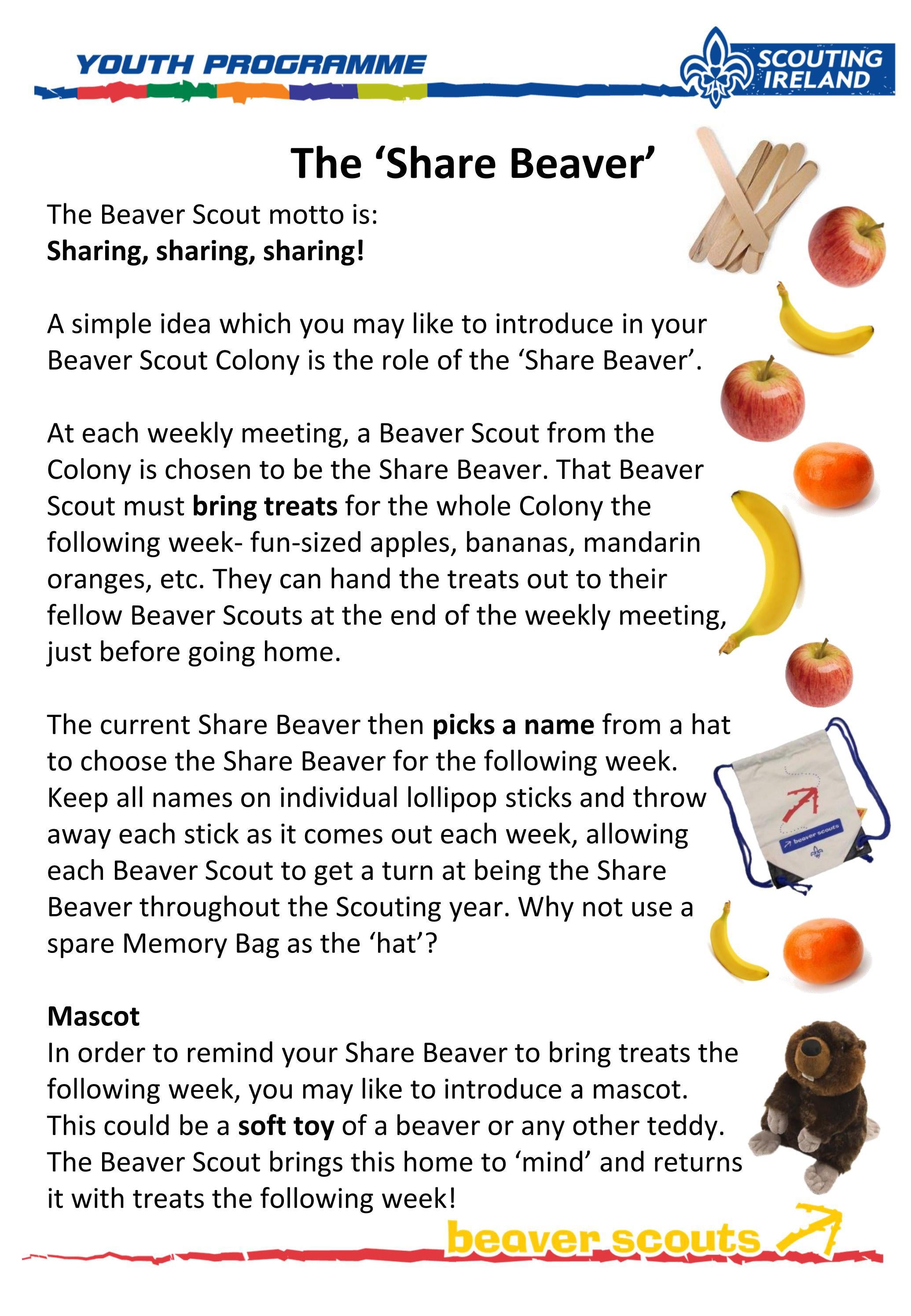 25BSBeaverScoutsResourceTheShareBeaver by Scouting Ireland Issuu