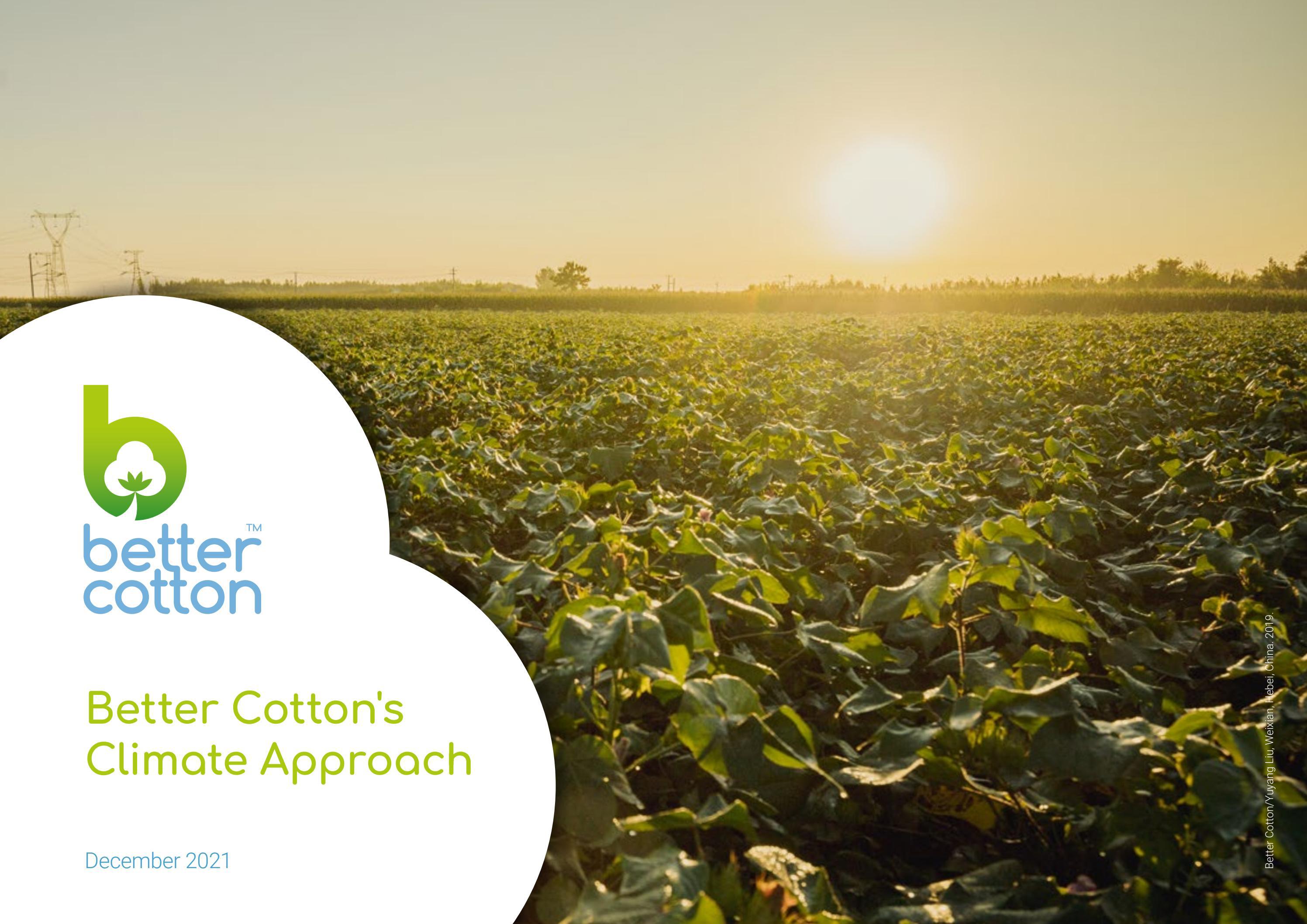 Better Cotton's Climate Approach by BetterCottonInitiative Issuu