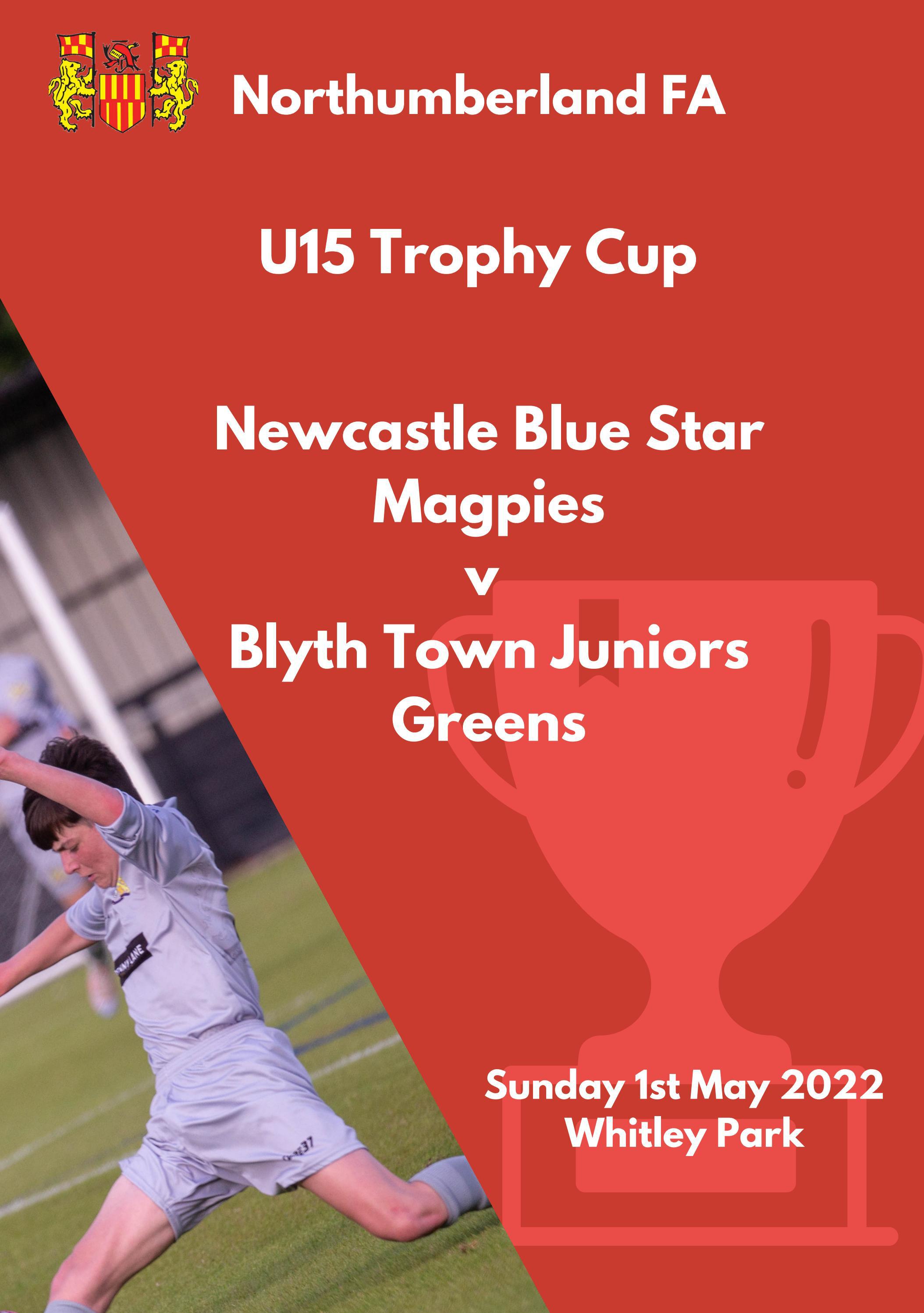 Fa U15 Rules