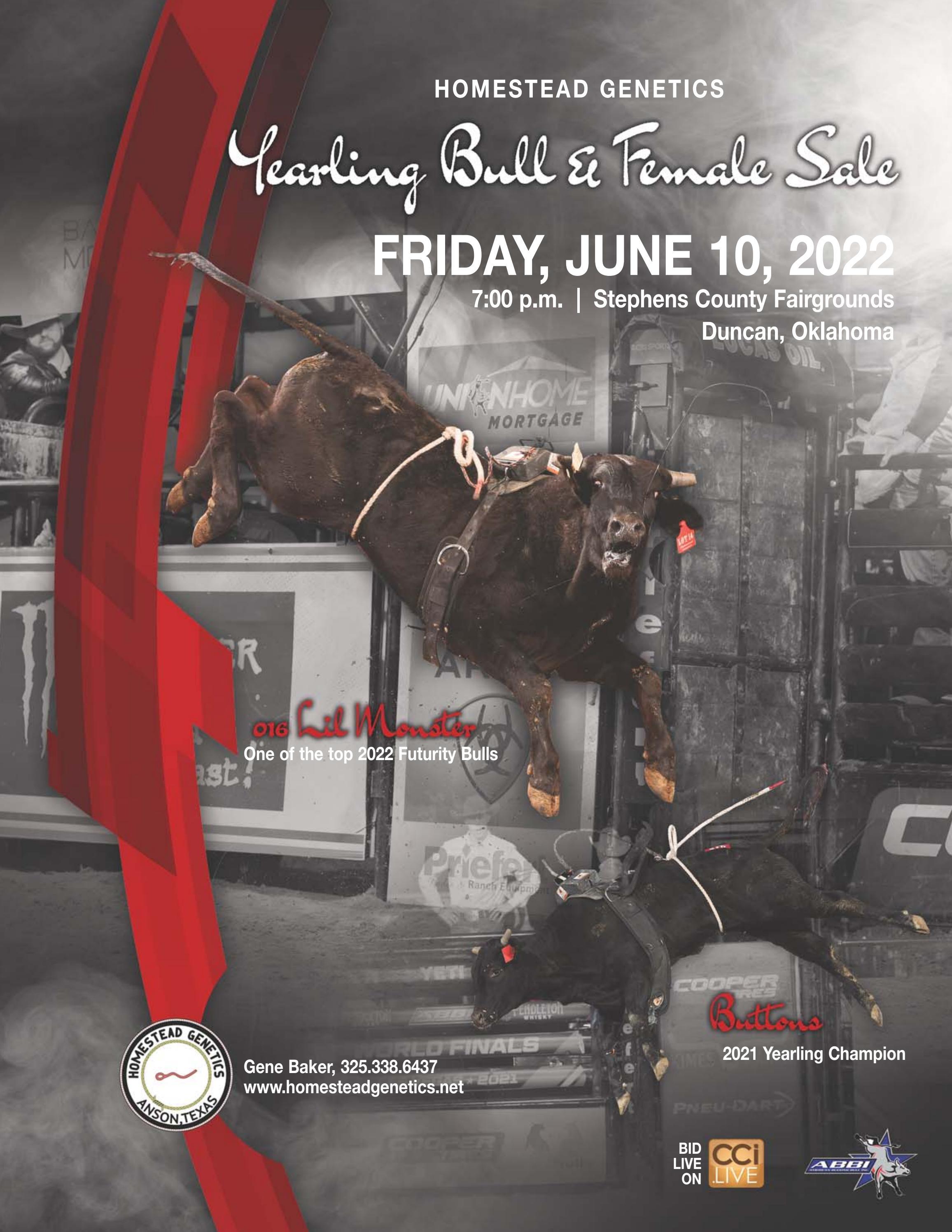 2022 Homestead Yearling Bull & Female Sale Catalog by Arin