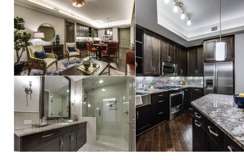 1717 Bissonett - Houston Pitchbook 第 17 页