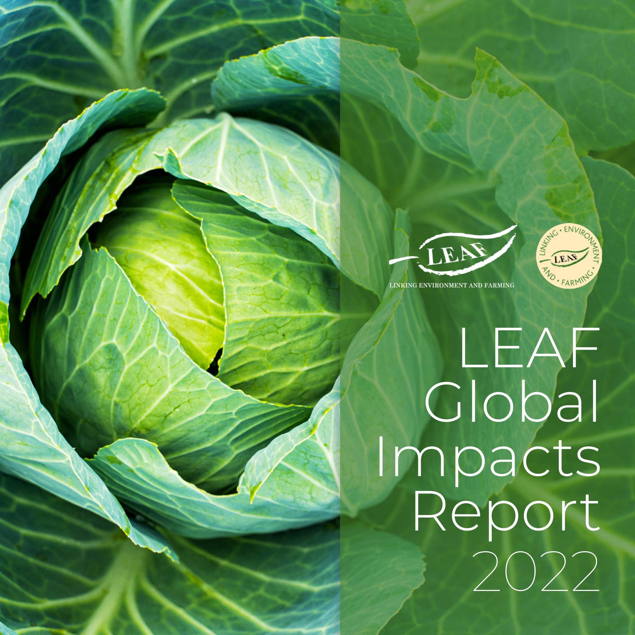 LEAF Global Impacts Report 2022 by linking-environment-and-farming - Issuu