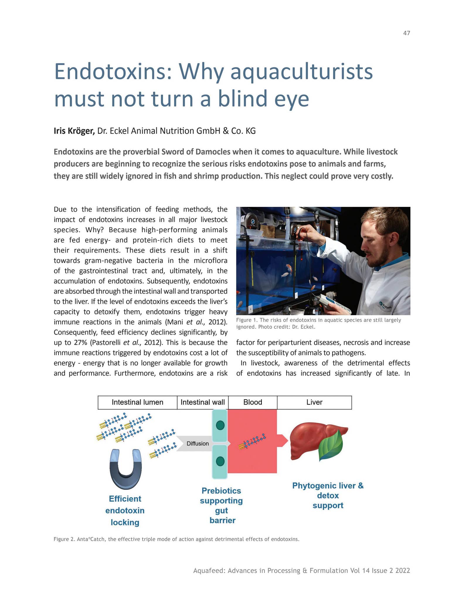 Aquafeed Vol 14 Issue 2 2022 by Aquafeed Media - Issuu