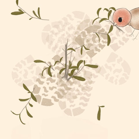 My Olive Tree 第 21 页