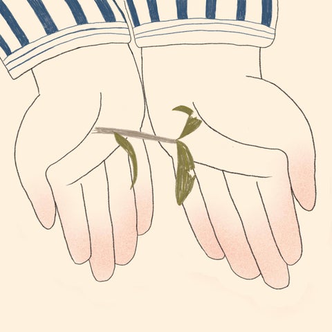 My Olive Tree 第 22 页