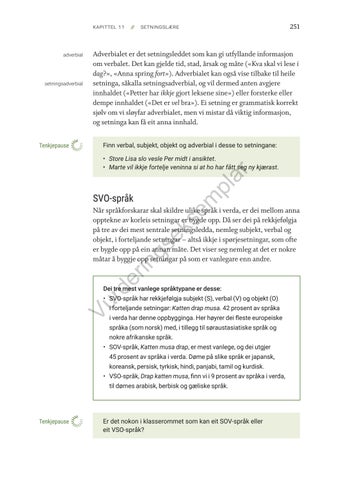 Page 251