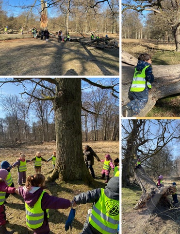 Copenhagen International School 灯饰目录 · Spotlights 期 3 第 8 页