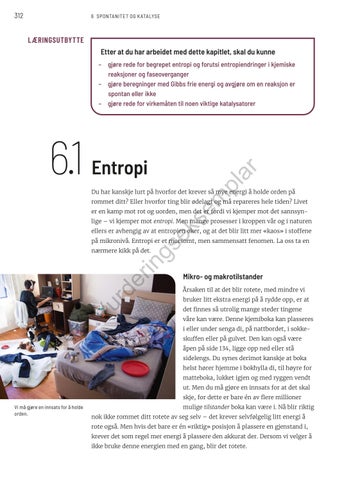 Page 312