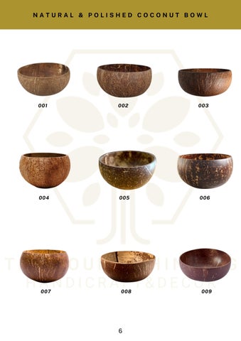 Coconut Bowl 灯饰目录 2022 第 6 页