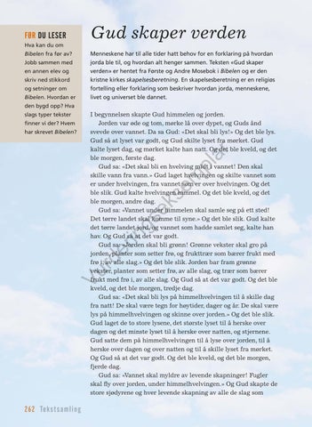 Page 262