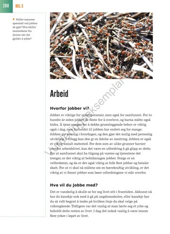 Page 260