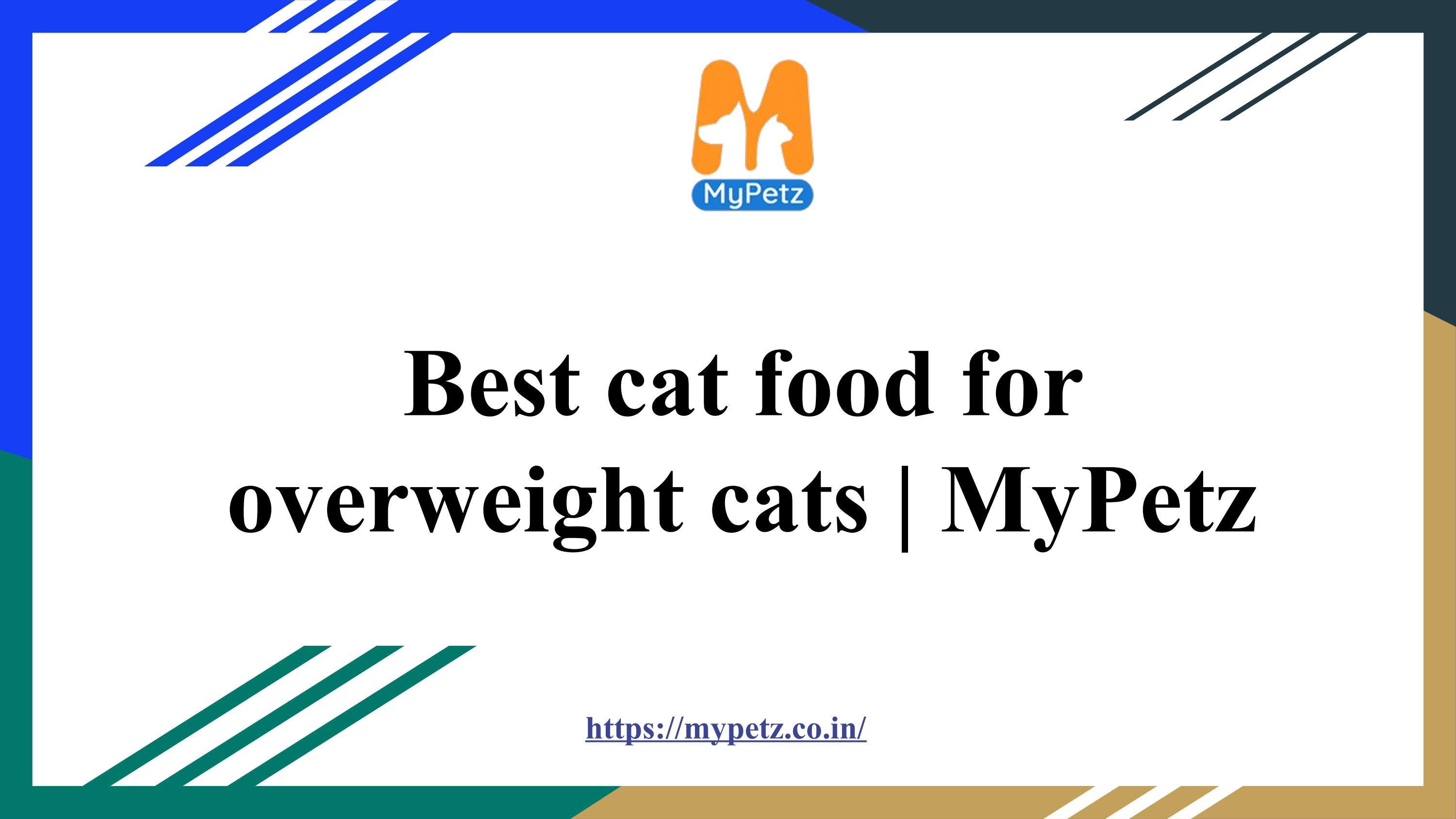 Best cat food for overweight cats Mypetz by Aruna Kedari Issuu
