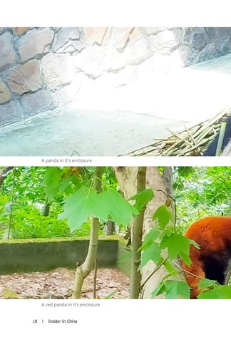 Insider In 中国 第 18 页