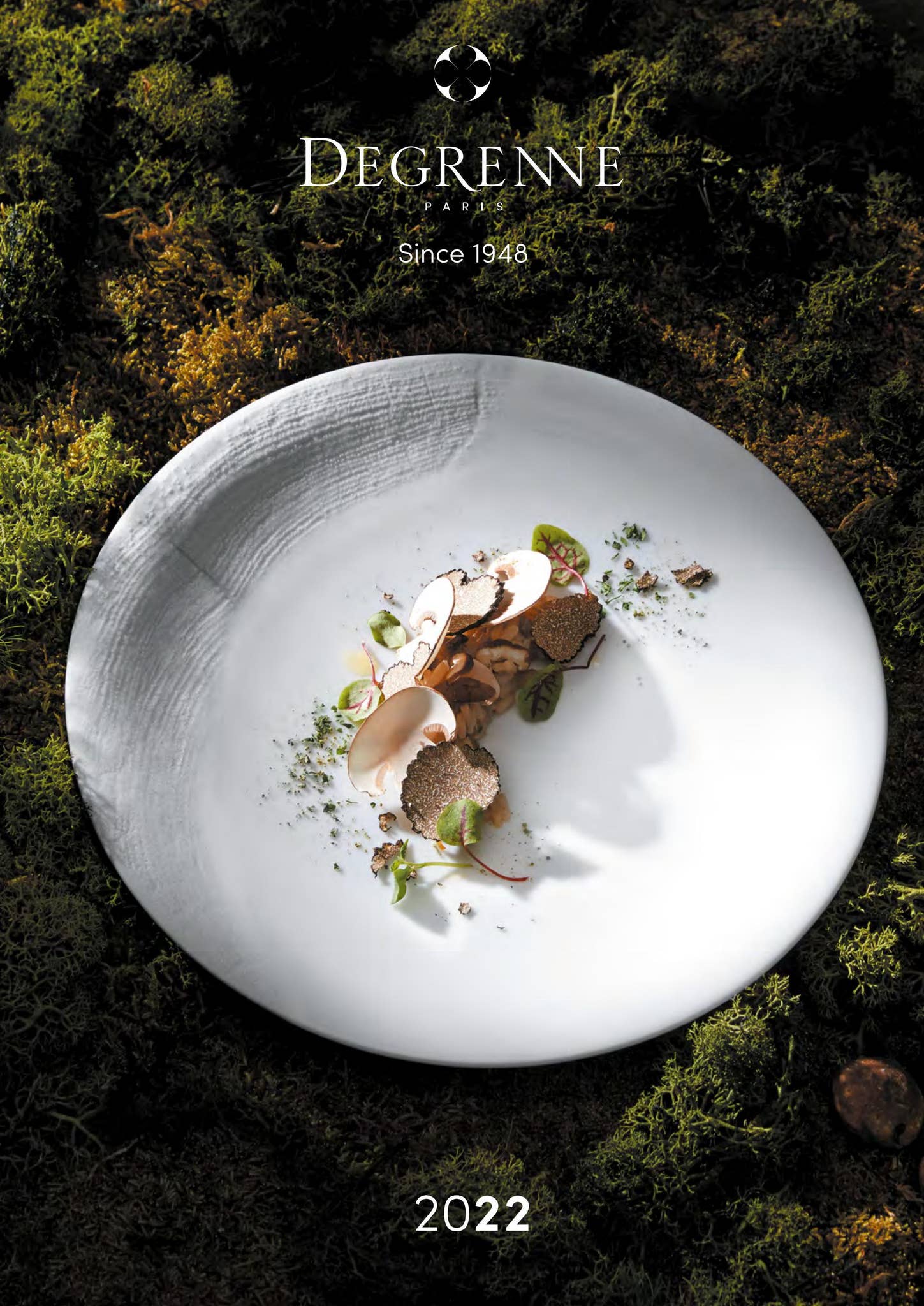 Degrenne Catalog 2022 by Fieldcrest International Issuu