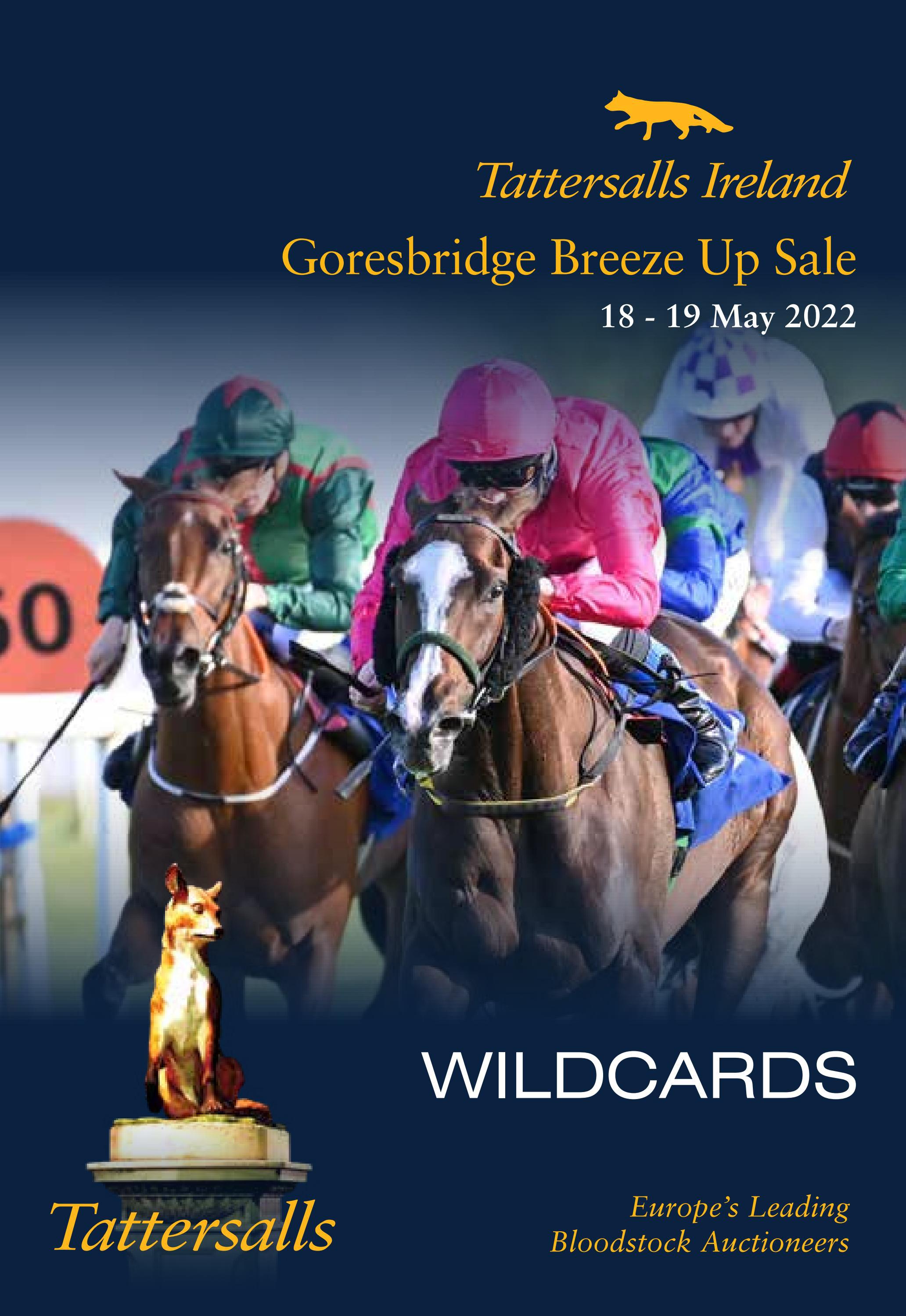 Tattersalls Ireland Goresbridge Breeze Up Sale Wildcard Catalogue 2022
