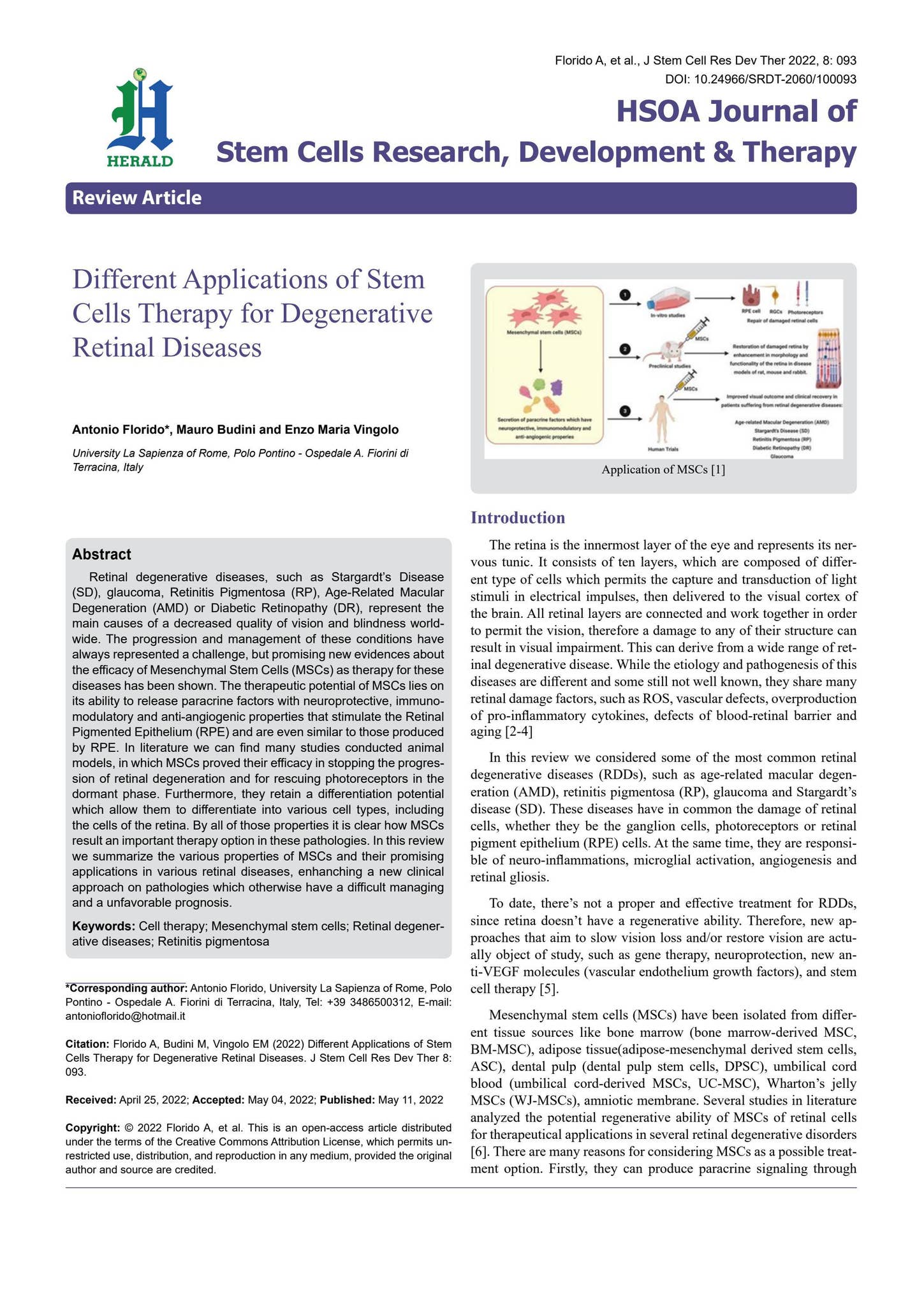 Different Applications of Stem Cells Therapy for Degenerative Retinal ...
