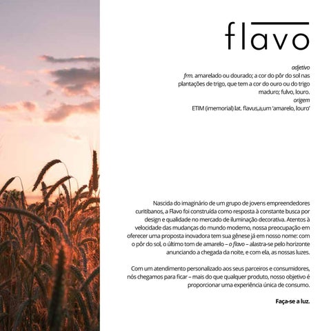 Flavo - 灯饰目录 第 2 页
