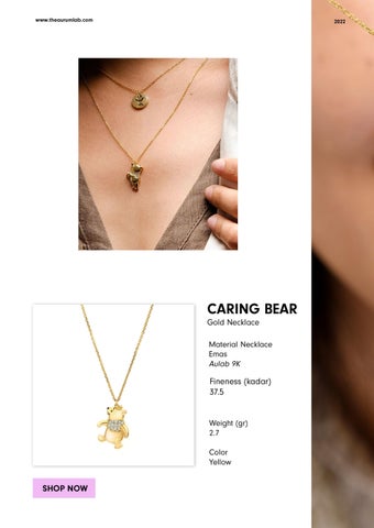 AVVENTURA COLLETION - WINNIE THE POOH BY AURUM LAB 第 16 页