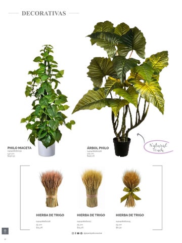 家具目录 Joy Plantas y materos 第 12 页