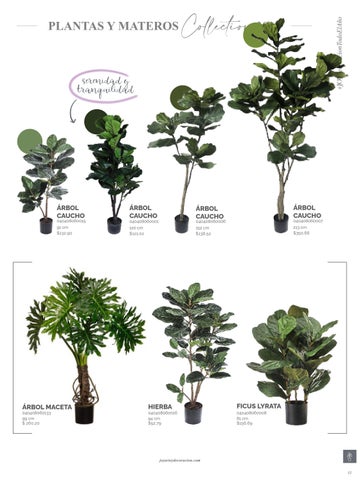 家具目录 Joy Plantas y materos 第 13 页