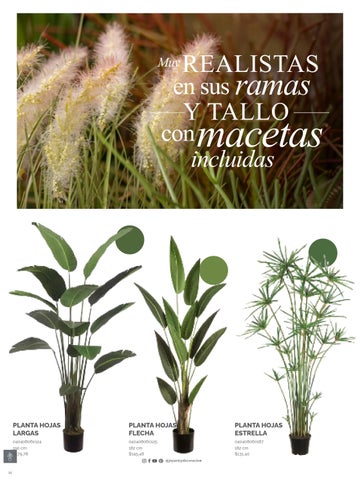 家具目录 Joy Plantas y materos 第 14 页