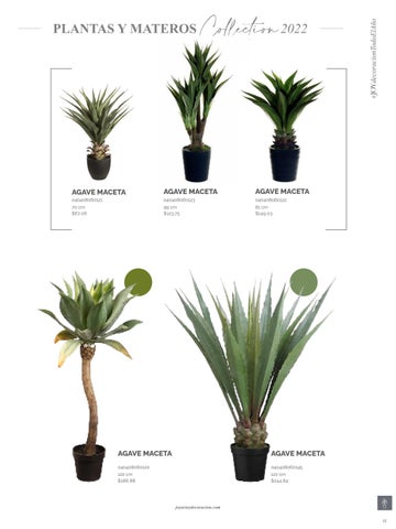 家具目录 Joy Plantas y materos 第 15 页