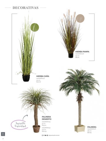 家具目录 Joy Plantas y materos 第 16 页