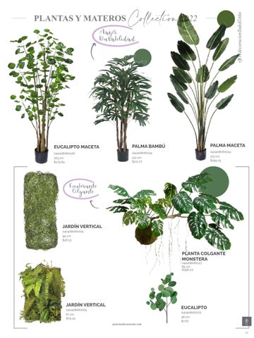 家具目录 Joy Plantas y materos 第 17 页