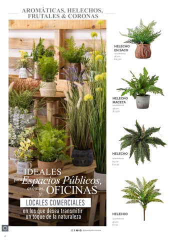 家具目录 Joy Plantas y materos 第 18 页