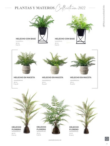 家具目录 Joy Plantas y materos 第 19 页