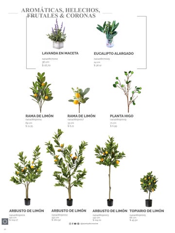 家具目录 Joy Plantas y materos 第 20 页