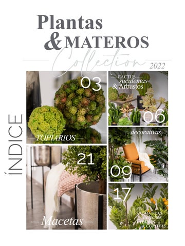 家具目录 Joy Plantas y materos 第 2 页