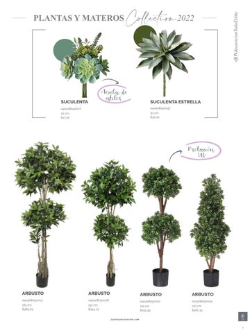家具目录 Joy Plantas y materos 第 7 页