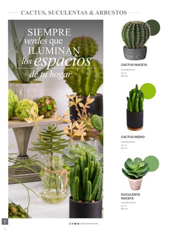 家具目录 Joy Plantas y materos 第 8 页