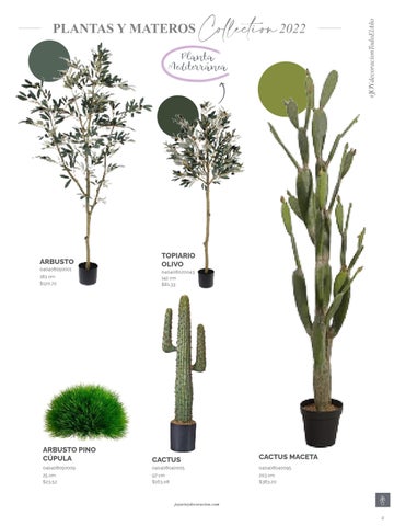 家具目录 Joy Plantas y materos 第 9 页