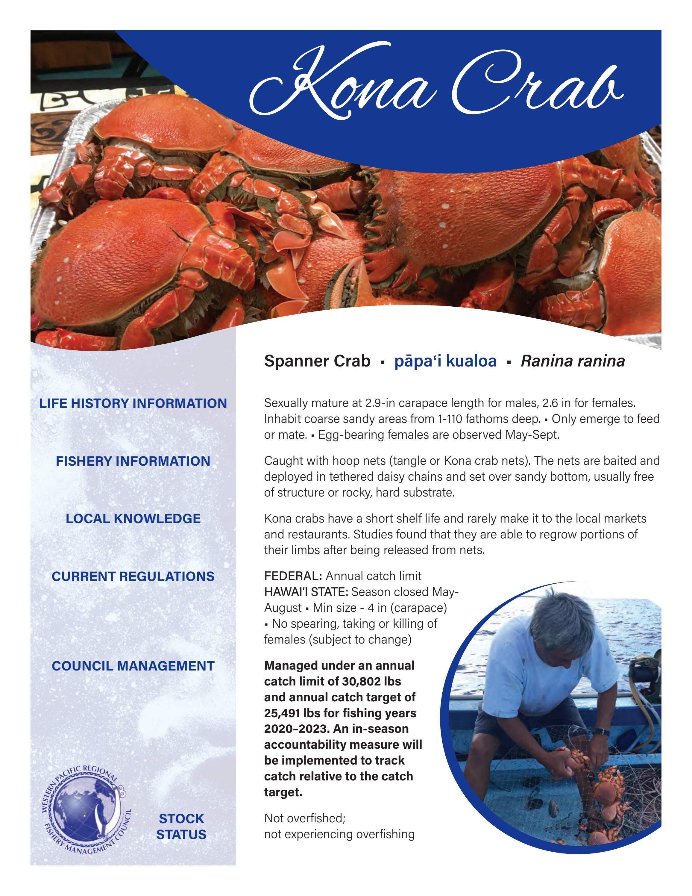 Kona Crab Fact Sheet by Western Pacific Regional Fishery Management