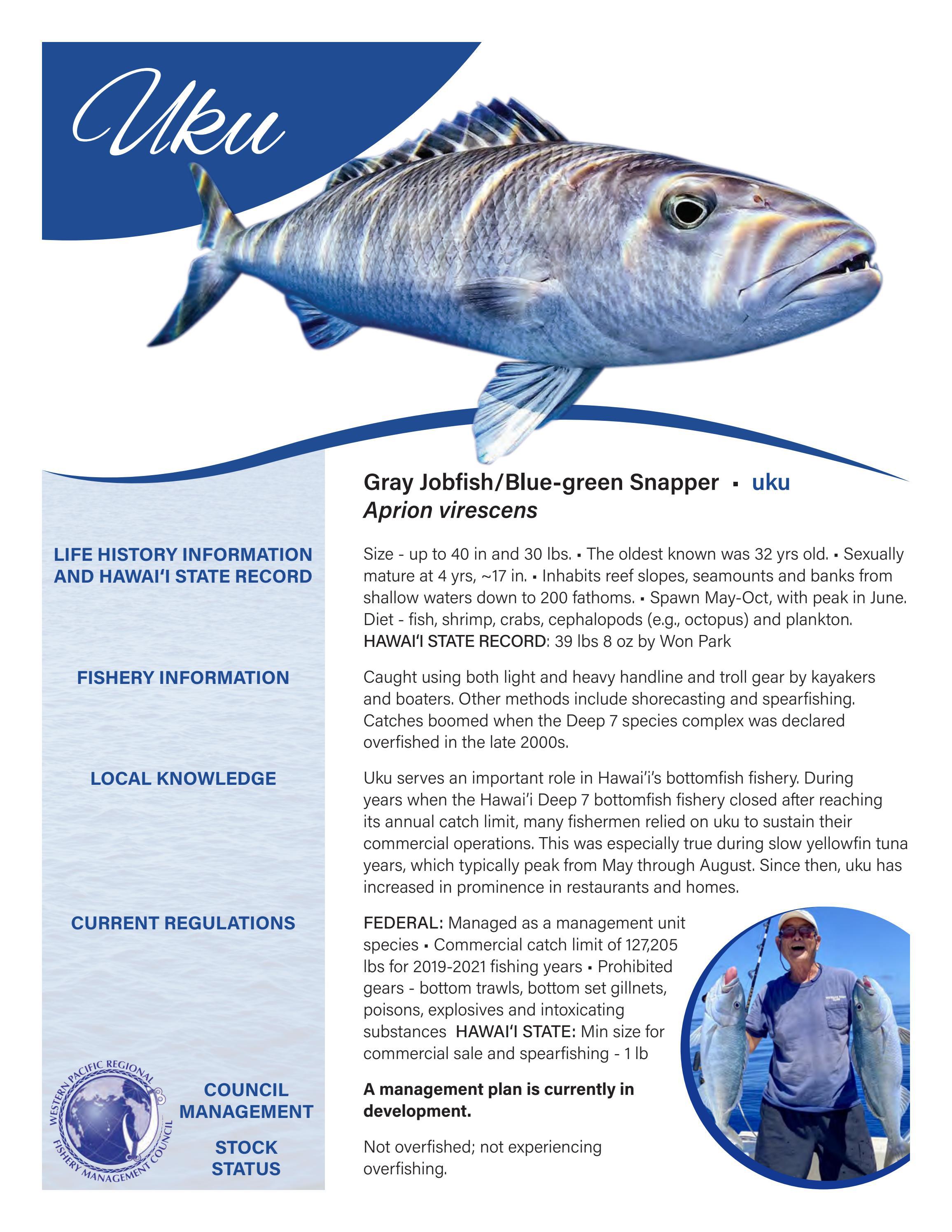 Uku Fact Sheet by Western Pacific Regional Fishery Management Council