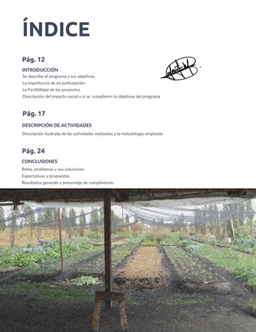 Servicio Social 106. Chinampas 英文 Movimiento. 第 2 页